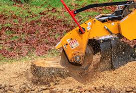 Best Firewood Processing and Delivery  in Moreland, ID